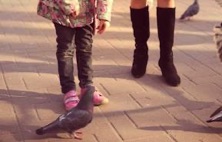 Etiam ultricies nisi vel augue. Curabitur ullamcorper ultricies nisi